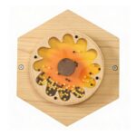 Kit Sensorial Sensações - 10 Itens